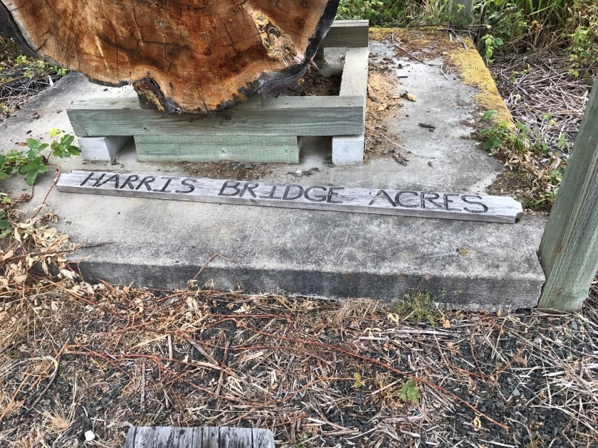 harris_creeek_bridge_60