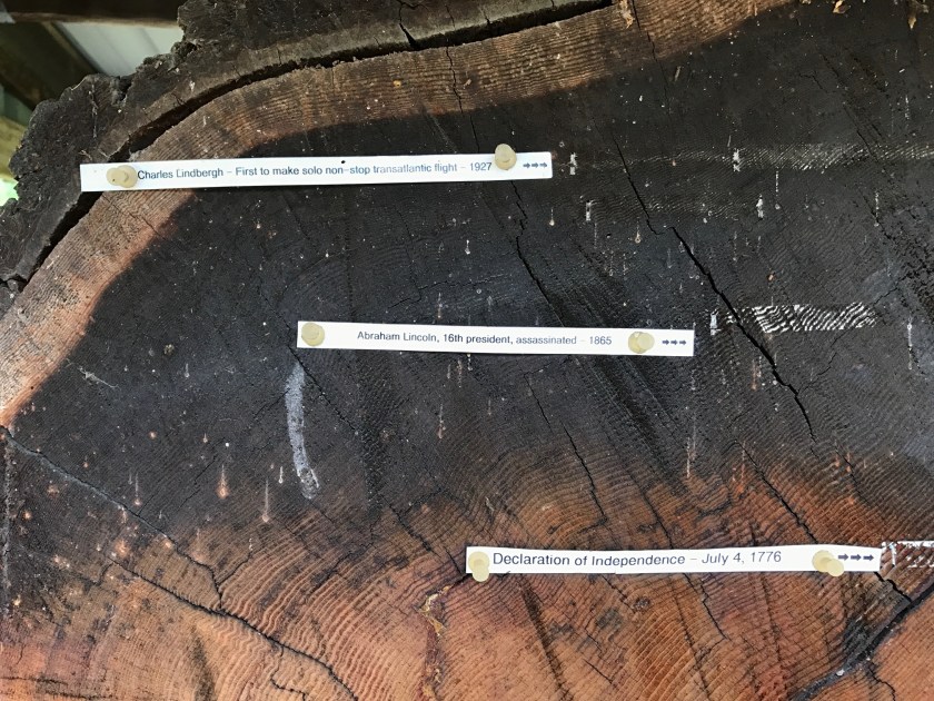 harris_creeek_bridge_63