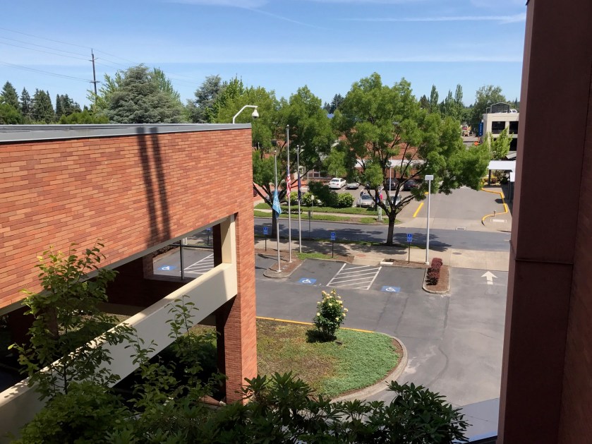 Hidden_Hey_Willamette_28