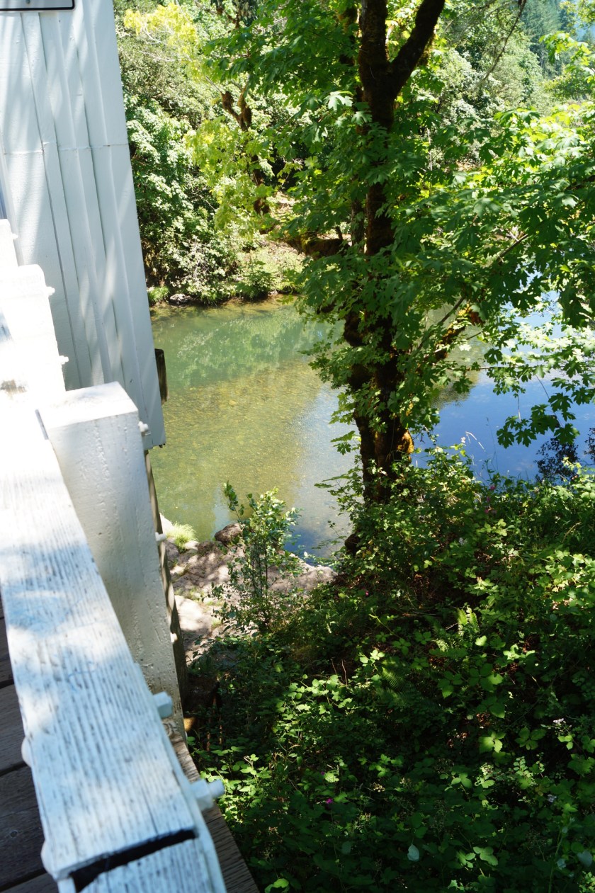 Dorena_Covered_Bridge_99.JPG