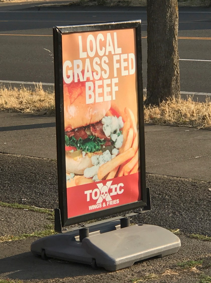 toxic_wings_and_fries_28