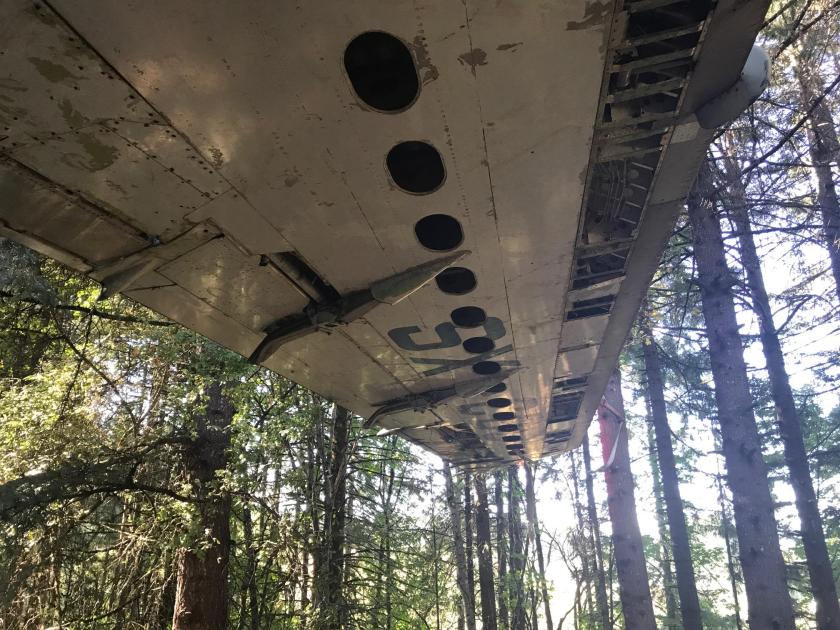 One of the wings from below