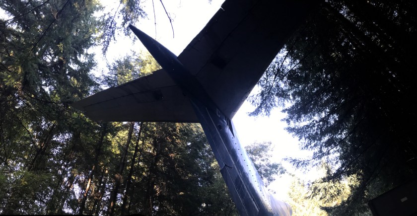 Another view of the rear horizontal stabilizer