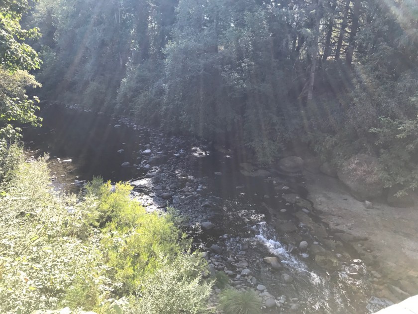 Sunny day looking at narrow river section