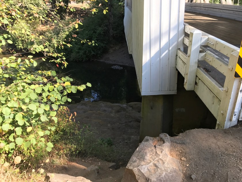 Path to the river's edge