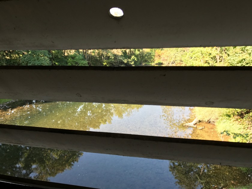 Looking out at Thomas Creek through slatted window