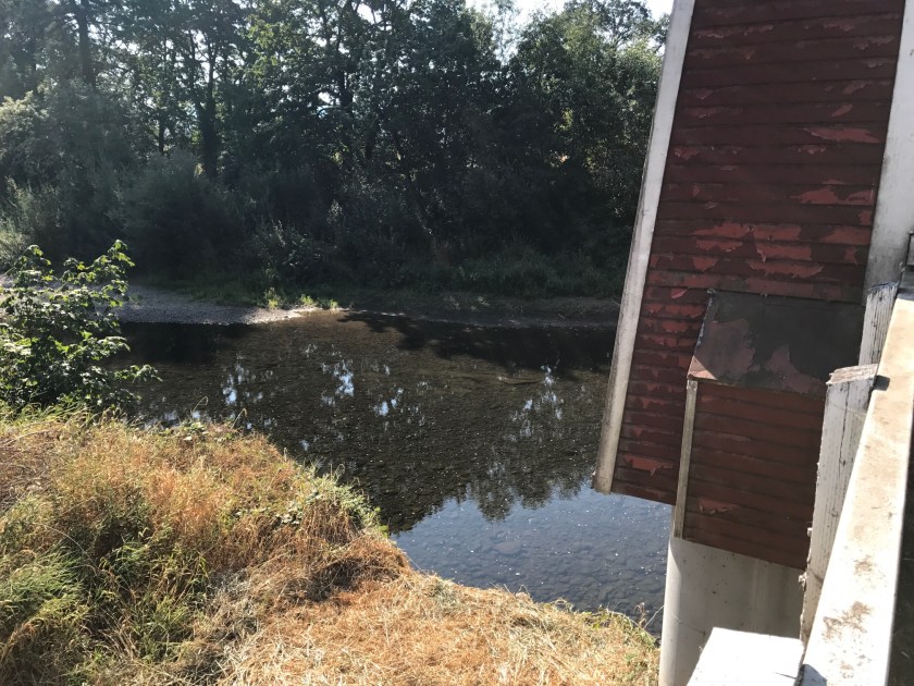 Thomas Creek and flaking red paint.