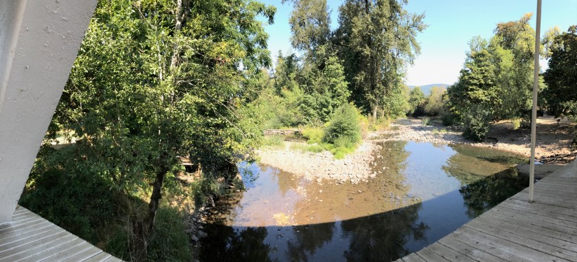 Crabtree Creek from Larwood Bridge