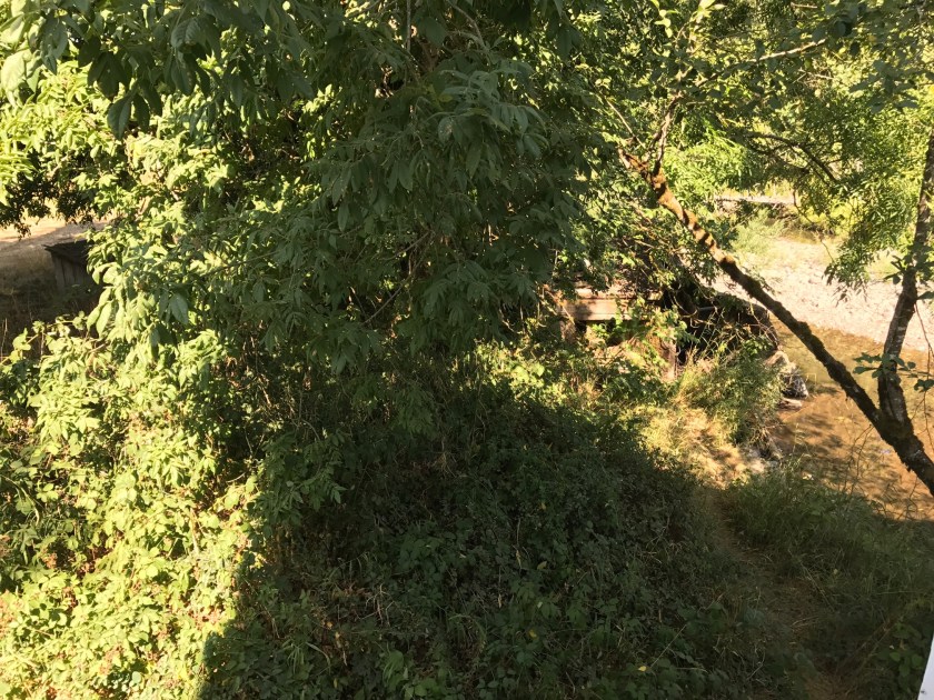 small wooden structure near Larwood Bridge