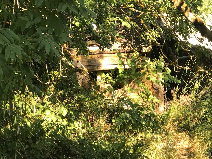 Closer to the Wooden structure