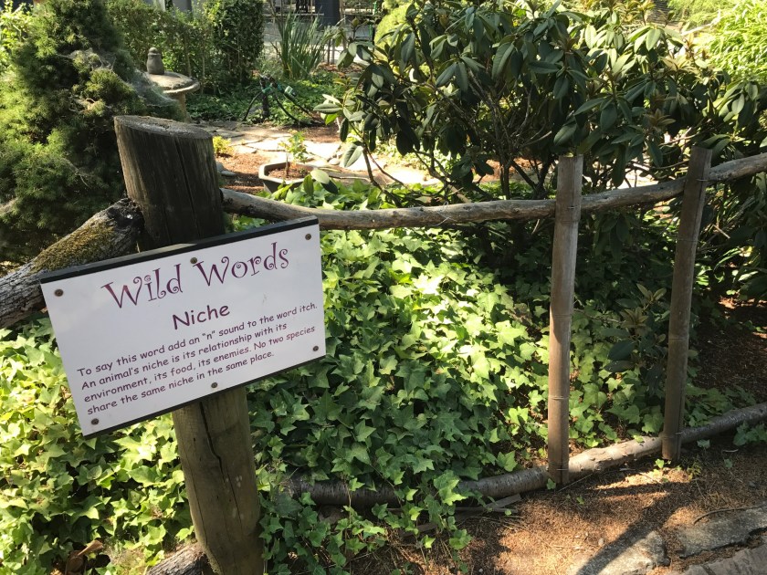 Wild Words Niche learning plaque