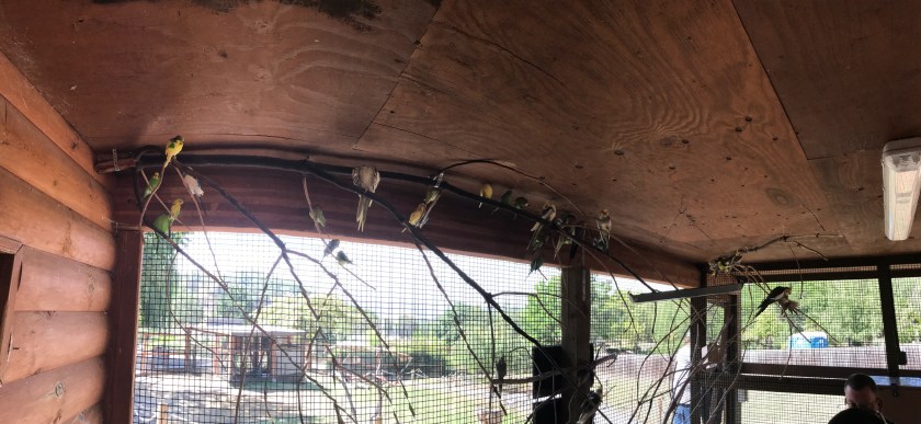 Walk-in bird exhibit
