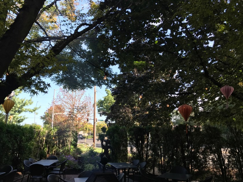Chinese Lanterns in the outdoor seating area