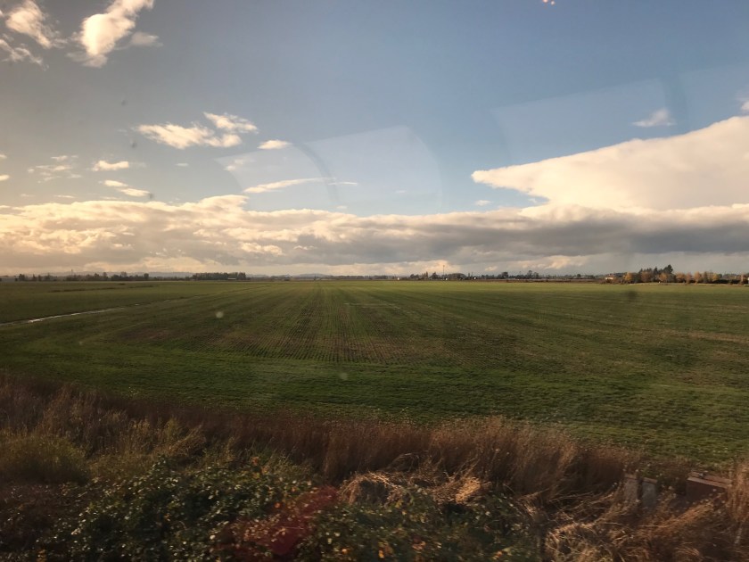 Grasslands seen from the train
