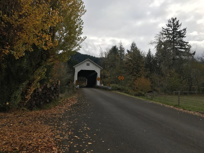 Nelson Mountain Bridge provides a beautiful contrast to the fall colors of the leaves during fall