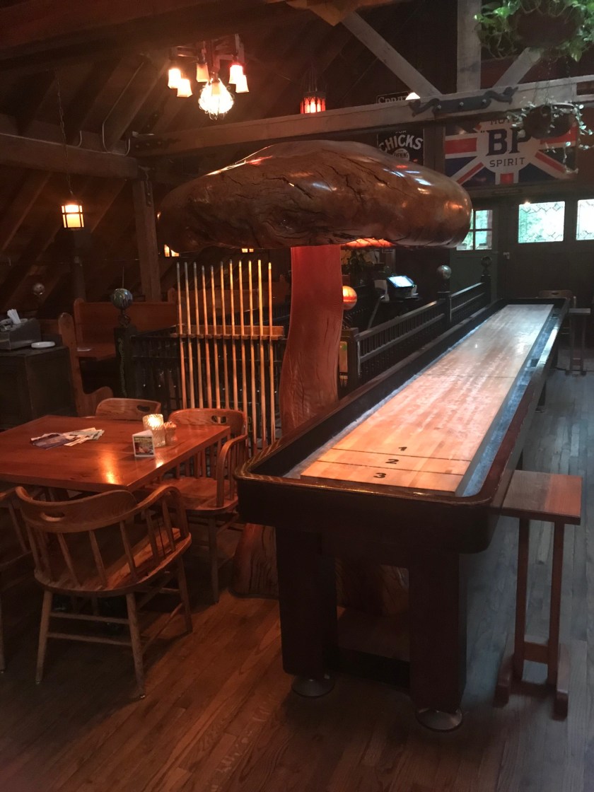 The shuffleboard and large mushroom