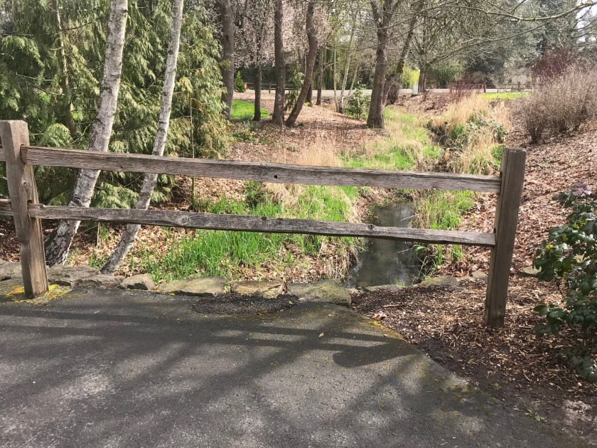 This is how the path starts after finding a good spot to park