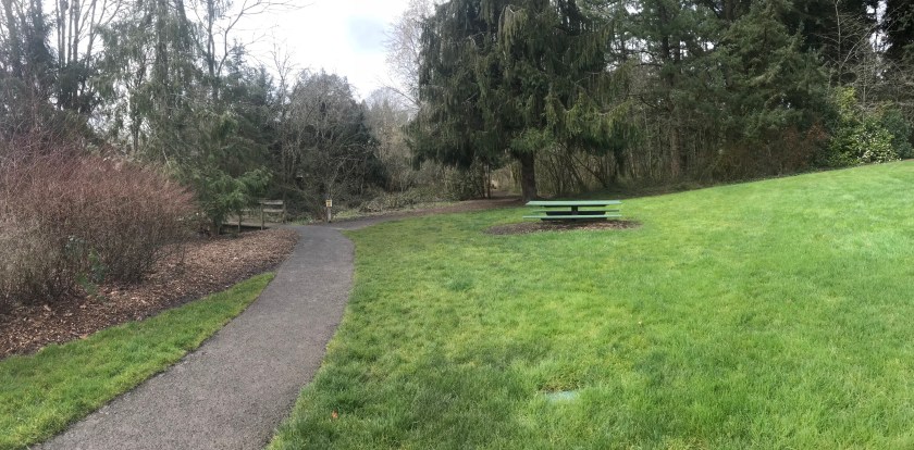 This picture shows the path continuing to the south through a neighborhood and another one separating to the north into the forest